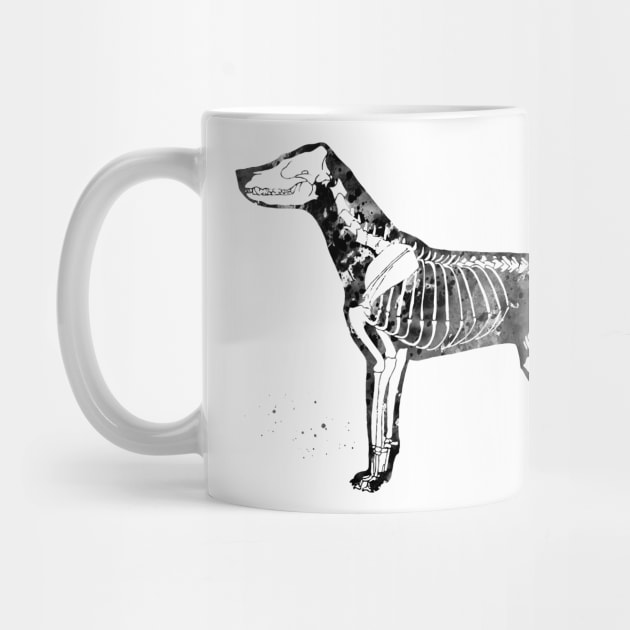 Dog Skeleton by erzebeth